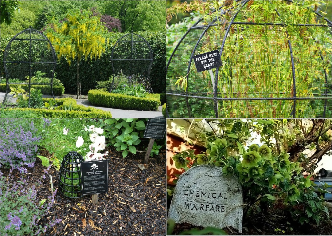 6-Alnwick-Poison-Garden.jpg